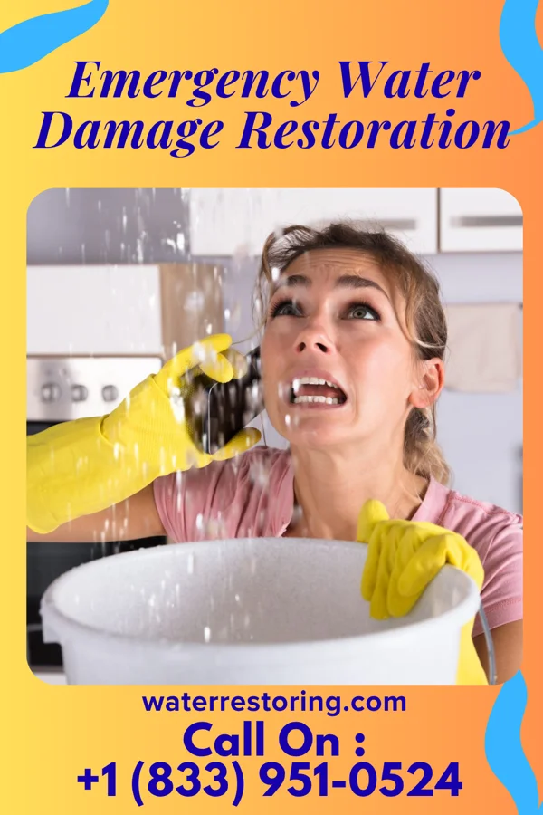 Emergency Water Damage Restoration in Brackenridge, PA