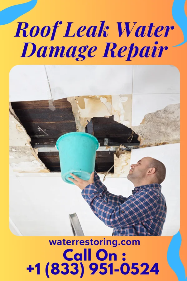Roof Leak Water Damage Repair in Brackenridge, PA