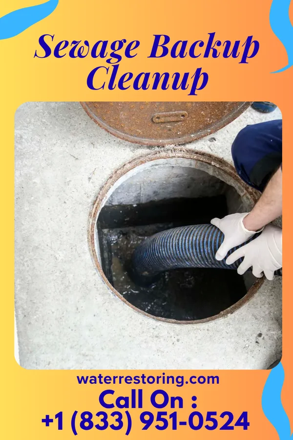 Sewage Backup Cleanup in Brackenridge, PA