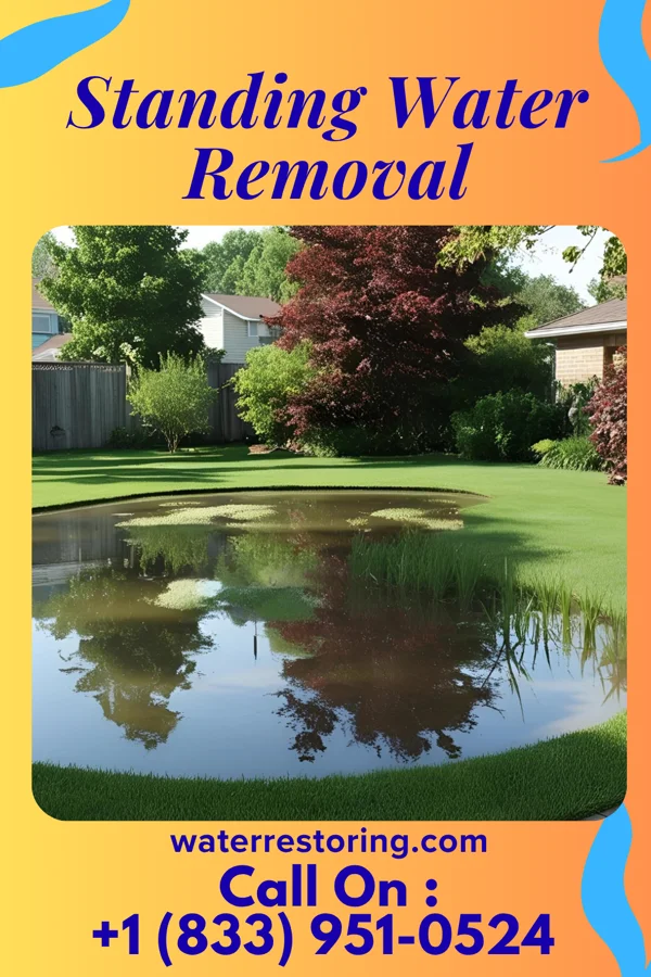 Standing Water Removal in Brackenridge, PA